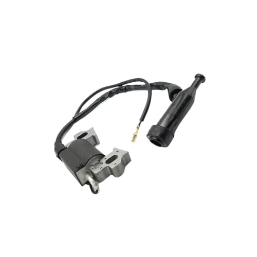 Bobine d'allumage haute tension pour moteur BS420X 16 CV réf TJ1165-3B