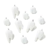 Clotiry 10 colgantes de dientes de resina opaca 3D de 2 estilos para dentistas, dijes de dientes blancos para hacer joyas, aretes, collares, manualidades
