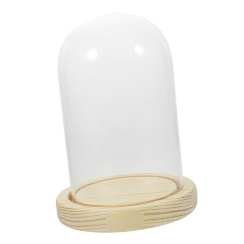 Alipis Cupola Espositiva in Vetro Con Base in Legno Antiscivolo Per Fiori Secchi, Copertura Trasparente Decorativa Per Casa, Ufficio e Bar, Protezione e Esposizione Elegante