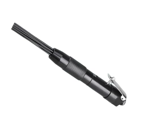 CGAj[hXP[[A12jGAKoKc[