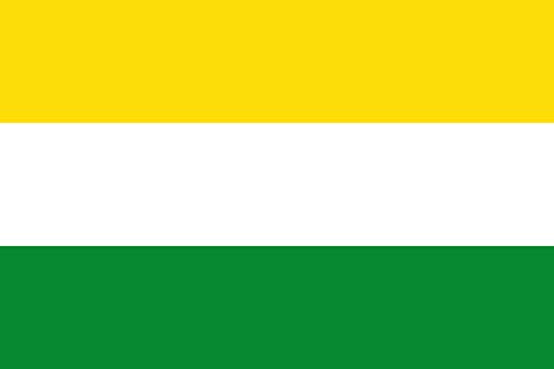 Drapeau Dagua Valle del Cauca grand modèle pour célébration officielle - 2