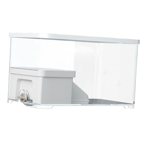 Terrarium pour tortues avec drainage et zone d'escalade pour grands amphibiens