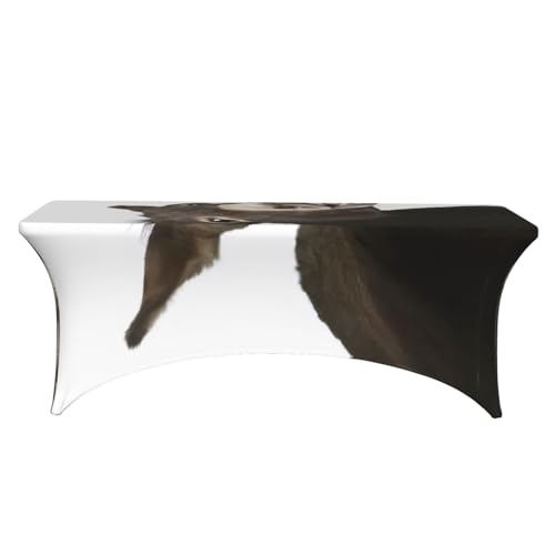 Nappe de table extensible élasthanne décorative pour repas de fête - 3