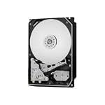 Western Digital – Western Digital WD Gold Datacenter Festplatte - HDD - 1 TB -