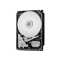 Western Digital – Western Digital WD Gold Datacenter Festplatte - HDD - 1 TB -