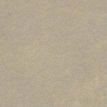 Walttools Desert Dust Accent Release Powder