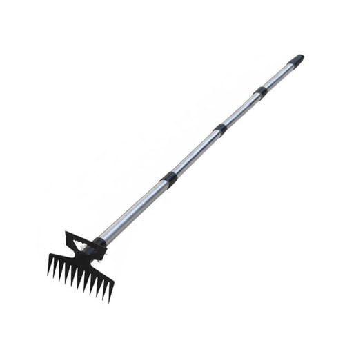 MotiveTech Zappa Coltivatrice 2 in 1 con Rastrello Zappa Rastrello Coltivatore Sarchiatrice a 11 Testa Doppia E Manico Modulare in Acciaio Inossidabile Adatta , 4-Section Pole