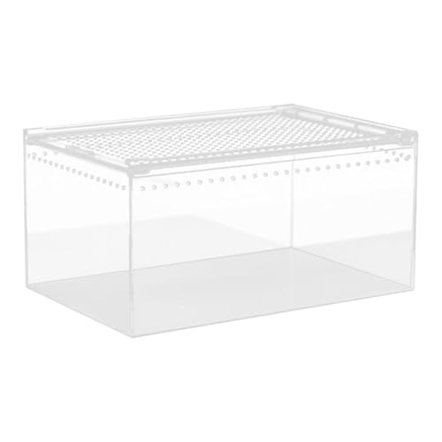 Terrarium pour reptiles 30cm, solution anti-évasion pour élevage - 2