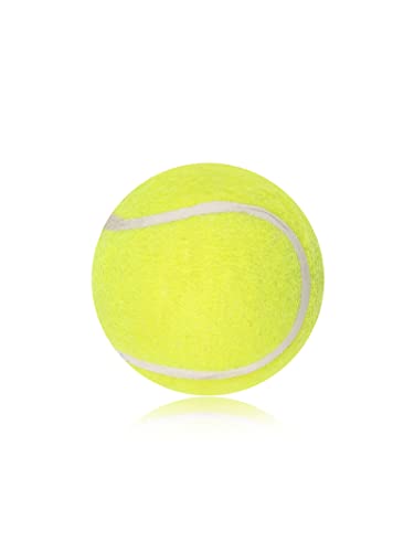 omtex Swing Ball-Pink Ball