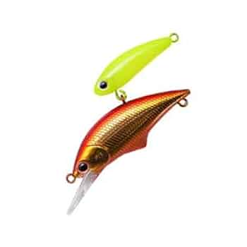 Amazon.co.jp: パームス アレキサンドラ シェード 35S