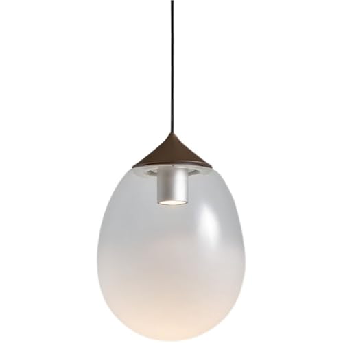 Chandelier luminaire suspendu moderne en verre et LED pour salon