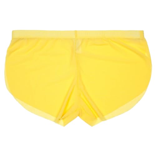 Mens Sexy Mesh Underwear Casual Lightweight Breathable Panties Loose Fit Comfortable Brief for Night Club Party