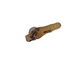 Ambre (Copal) avec insectes fossiles fossiles COPJ2