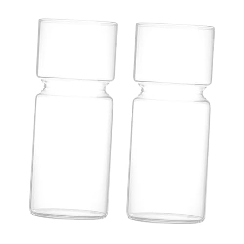 predolo 2x Vaso in Vetro Trasparente Giacinto Vaso per Fiori Vaso per Fioriera Decorazione per Contenitori per Terrari