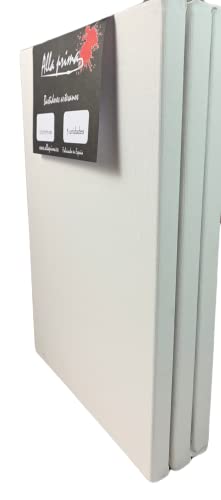 Alla Prima Set de 3 lienzos blancos SUPRA de 60 X 40 cms, con bastidores de madera FSC® de primera calidad y DOBLE FONDO (3,5 cms) fabricados en España Cover