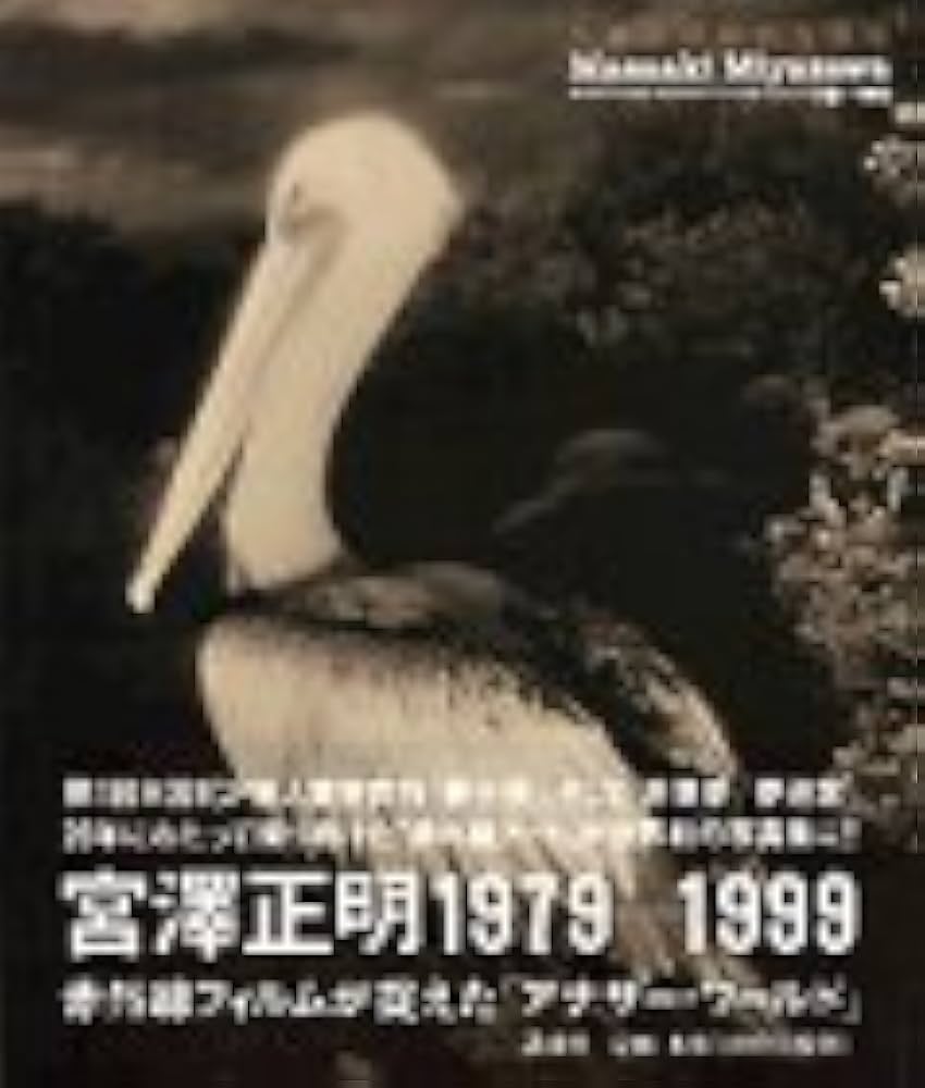 宮沢正一 宮沢正一の世界 2CD 宮沢正一 宮沢正一の世界 2CD 宮沢正一 – 宮沢正一の