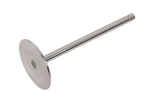 Genuine GM Performance (12591644) COPO LS7-Style Intake Valve by GM GENUINE PARTS - Used condition - CA$152.12