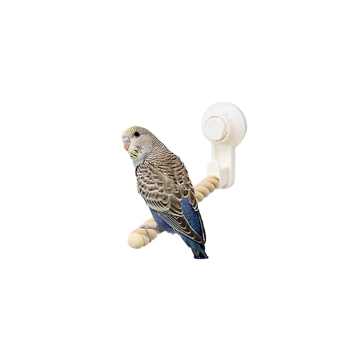 Image of 1 PCS Bird Stands for Parrots ，Perch Cockatiel Parakeets, Movable Bird Perch Stand with Suction Cup,Grinding Stick Training Toys for Small and Medium Birds(Twist Grain)