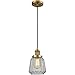 Innovations 201C-BB-G142 1 Light Mini Pendant, Brushed Brass