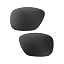 Black - Polarized