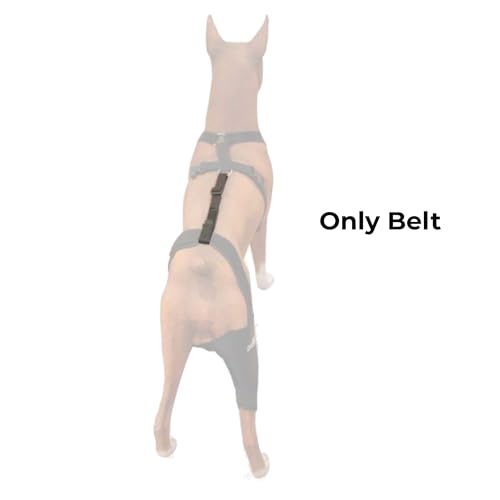 Ortocanis Knee Brace Fastening Belt Pack - includes belt and harness - colour black - 3 sizes - knee brace sold separately - (M (dog's chest: 21 - 26''))