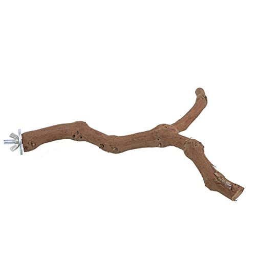 Bird Perch Nature Wood Stand for 3-4pcs Small Medium Parrots (2pcs Grape Perch) - Image 5