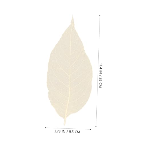 Decoración de hojas naturales para manualidades y scrapbook miniatura 2