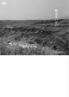 処女ゲバゲバ [DVD]の詳細を見る