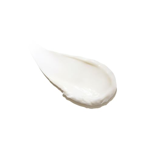 Image of LANEIGE Water Bank Hyaluronic Acid Intensive Moisturizer Cream for Extreme Dry Skin | Moisturizer for Face | Lightweight Formula| Korean Skincare