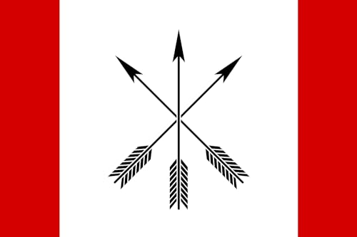 Drapeau grand Chyhyryn Ukraine idéal pour commémorations et salons - 2