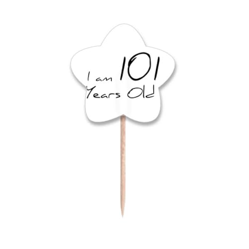 Cure-dents 101 ans décoratifs avec drapeaux pour buffet de fête de famille