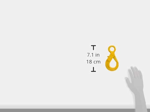 79290399_2