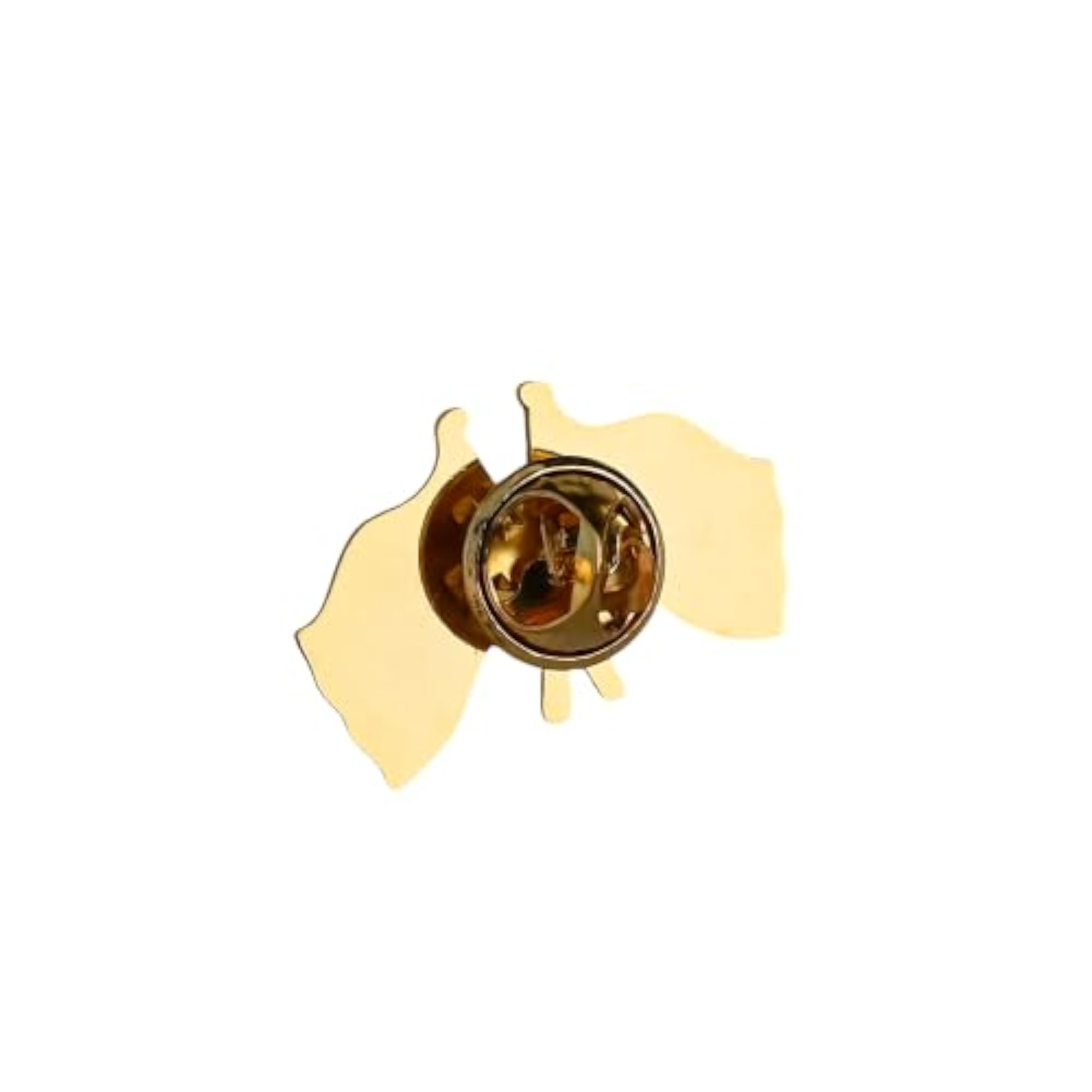 India & Argentina Twin Flag Brass Lapel Pin, Premium Enamel Brooch