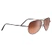 Serengeti Aviator Sunglasses Serengeti Aviators: Medium Aviator, Henna/Drivers Gradient Model 6826