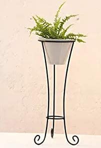 THE PLANT FAIRIES® Flower Pot Stand/Black Holder Planter Stand/Balcony Pot Stand/Garden Pot Stand (Without Pot Set of 1) (B09MQ9KXPS) Amazon Price History, Amazon Price Tracker