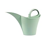 Cet arrosoir d'extérieur avec bec verseur amovible en plastique assure une distribution d'eau régulière et uniforme, évitant le sur-arrosage et protégeant les plantes et les semis fragiles. Doté d'une prise en main confortable et d'une structure équilibrée, cet arrosoir offre un contrôle sans effort, garantissant un arrosage précis et propre pour toutes vos plantes.