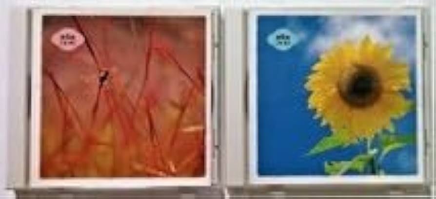ハーモニカで綴る想い出の歌 ハーモニカで綴る・想い出の歌 CD全10巻 ｜【公式】ユーキャンの