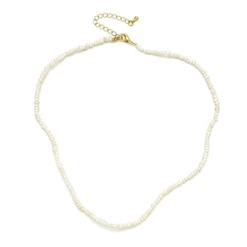 y_g`F[jWG[~j}Xgr[YW^̃lbNX@ׂȏ̂߂ Sl1898