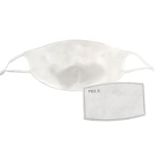 [Soie de Soiree] �V���N�}�X�N �􂦂� �q���� �ێ� UV�J�b�g �m�[�Y���C���[���� �t�B���^�[�t�� �傫�� ���ʌ��}�X�N �V���N100% �@�A�W���X�^�[�t�� �z�}�X�N �V�R�f�� ���O���΍� (�z���C�g)