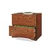 Realspace Dawson 2-Drawer Lateral File Cabinet, Brushed Maple