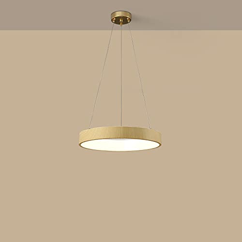 Simplicity Log Colgante Luz de techo Hierro Acrílico Montaje empotrado Accesorio de iluminación colgante Regulable 40 '' Arte Redondo Francés Minimalista Lámpara de araña Moderna para mesa de comedor Cover