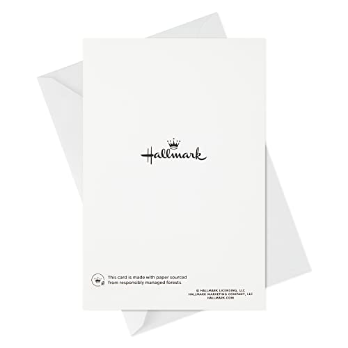 Hallmark Pack Of Easter Cards, Goodbye Winter (8 Cards With Envelopes) #TOP5