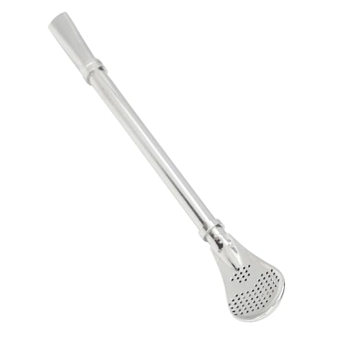 Paille filtre cuillère acier inoxydable réutilisable