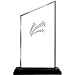 Crown Awards Personalized Acrylic Trophy, 6