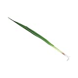 HRODA Modelo de cebolleta falsa de cebolleta pequeña, simulación de planta verde, educación temprana, plántulas de ajo, vegetales realistas