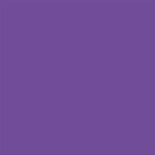 Cricut Transfer Sheets, Solid Color Infusible Ink (Ultraviolet)