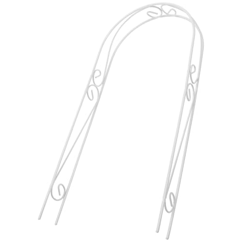 POPETPOP ApSNC~OgX A[`^Ax w̍AT|[g O|pbN