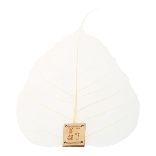  R[q[tB^[ eB[|bg [ttB^[  u  c[