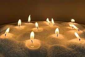 Shrida Naturals Soy Pearl Wax 227g with 5 Wicks