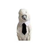 Bird Collar, Bird Clothes, Parrot Bird Supplies, Cute Collar for Medium and Large Birds Eclectus Cockatoo African Grey Amazon Bow Tie Scarf Super Cute Costume Photo Prop for Parrots (Necktie)